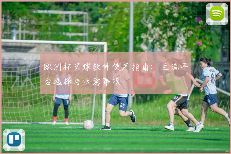 欧洲杯买球软件使用指南:主流平台选择与注意事项