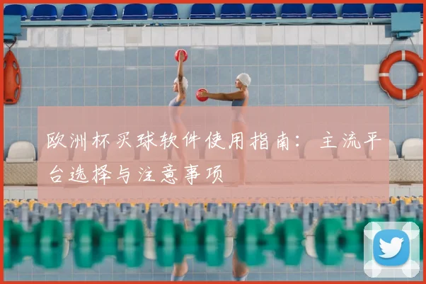 欧洲杯买球软件使用指南:主流平台选择与注意事项