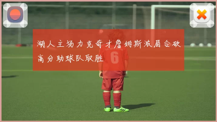 湖人主场力克奇才詹姆斯浓眉合砍高分助球队取胜