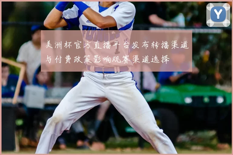 美洲杯官方直播平台发布转播渠道与付费政策影响观赛渠道选择